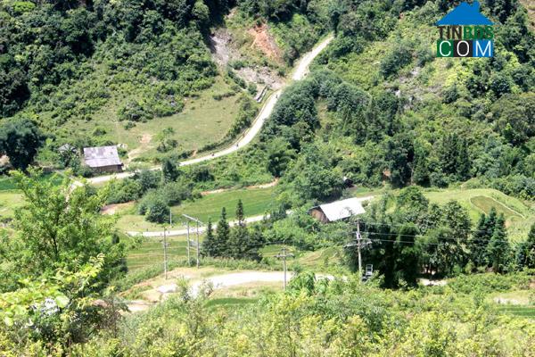 Hình ảnh Tả Củ Tỷ, Lào Cai