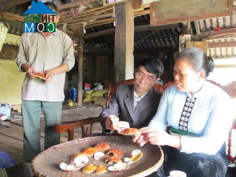 Hình ảnh Nghĩa Lộ, Lào Cai