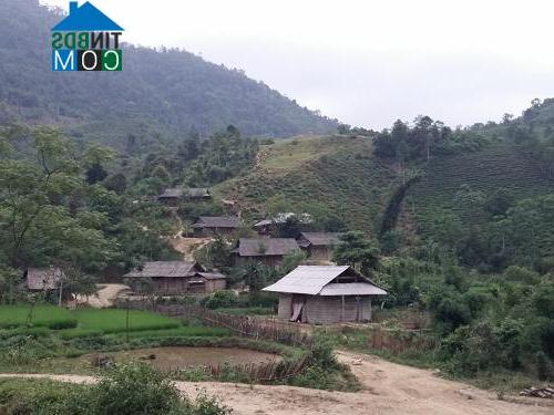 Hình ảnh Nghĩa Tâm, Lào Cai