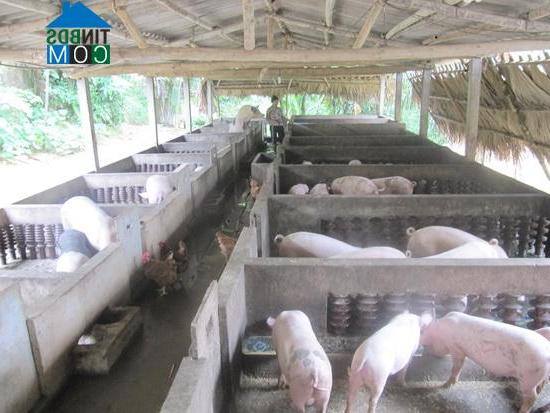 Hình ảnh Quy Mông, Lào Cai