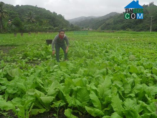 Hình ảnh Yên Hòa, Nghệ An