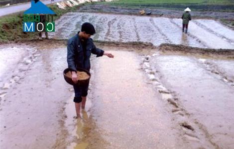 Hình ảnh Việt Hồng, Lào Cai