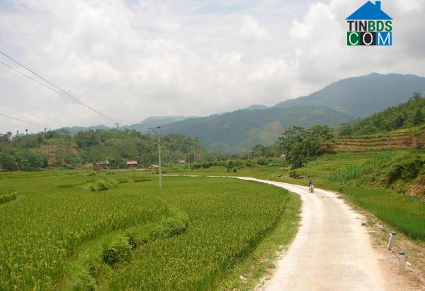 Hình ảnh Xuân Hòa, Lào Cai