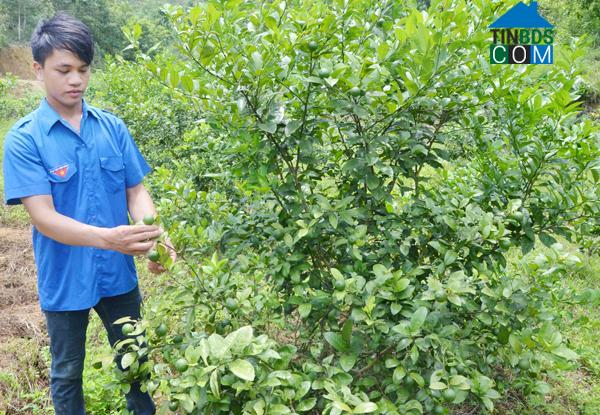 Hình ảnh Xuân Quang, Lào Cai