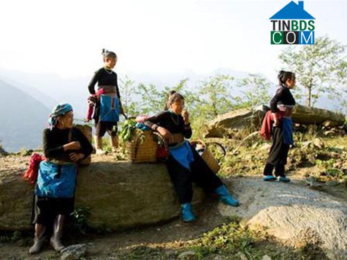 Hình ảnh Y Tý, Lào Cai