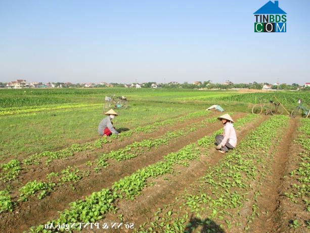 Hình ảnh An Châu, Nghệ An