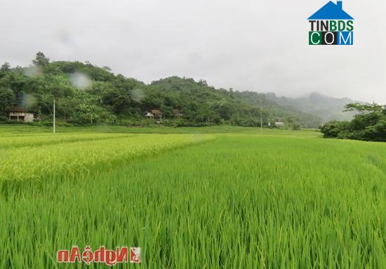 Hình ảnh Hữu Kiệm, Nghệ An