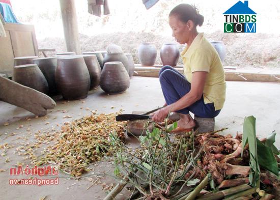 Hình ảnh Cam Phục, Nghệ An