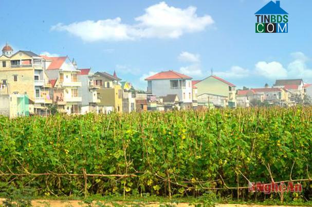 Hình ảnh Đông Hiếu, Nghệ An