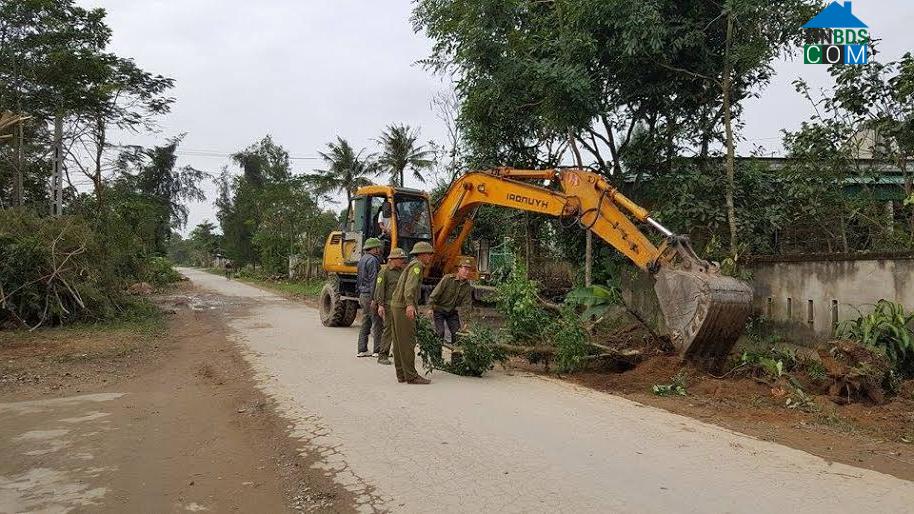 Hình ảnh Đông Lộc, Nghệ An
