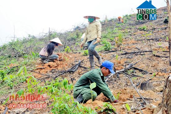 Hình ảnh Giai Lạc, Nghệ An