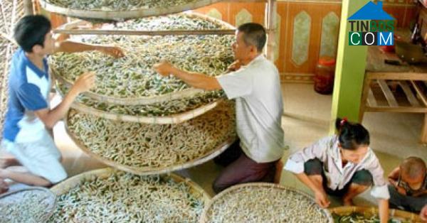 Hình ảnh Hải Châu, Nghệ An