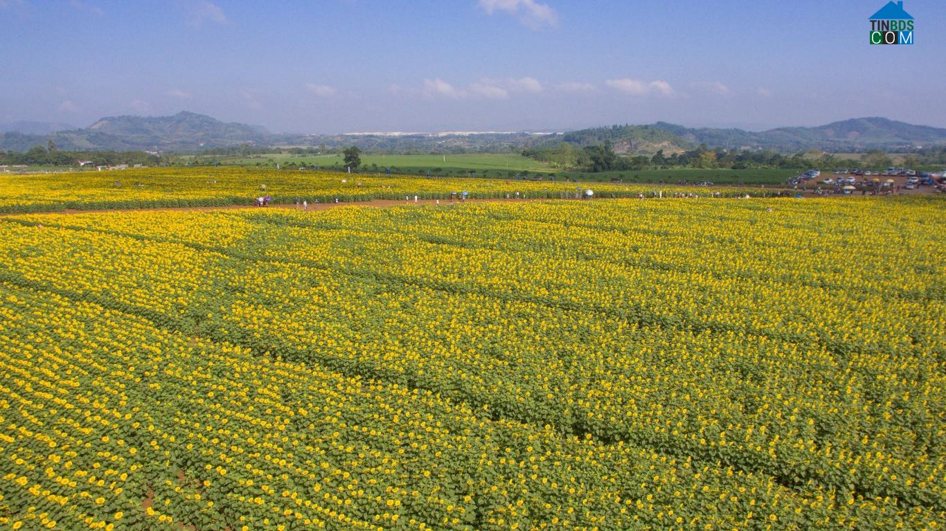 Hình ảnh Nghĩa Lâm, Nghệ An