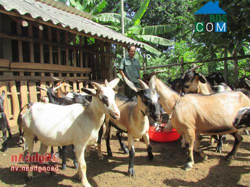 Hình ảnh Nghĩa Thọ, Nghệ An