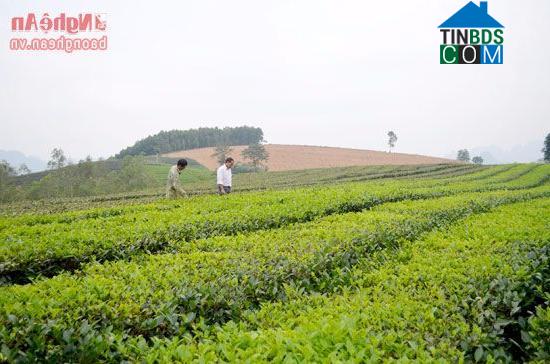 Hình ảnh Nhân Hòa, Nghệ An