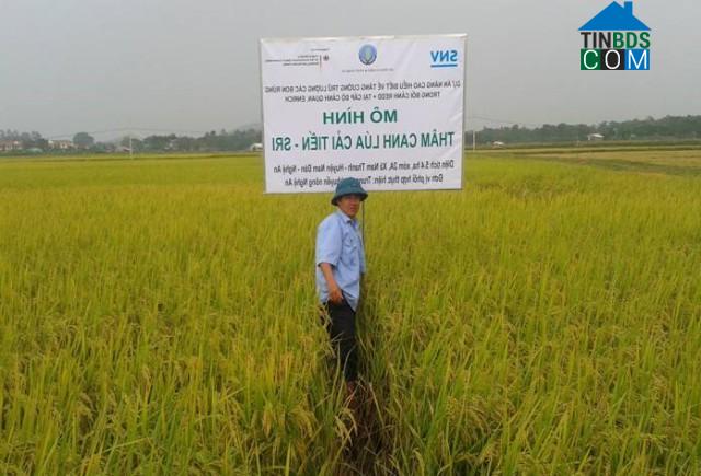 Hình ảnh Quan Thành, Nghệ An