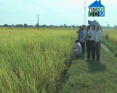Hình ảnh Quảng Châu, Nghệ An