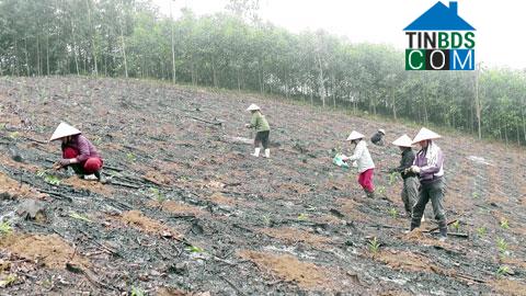 Hình ảnh Quang Đồng, Nghệ An