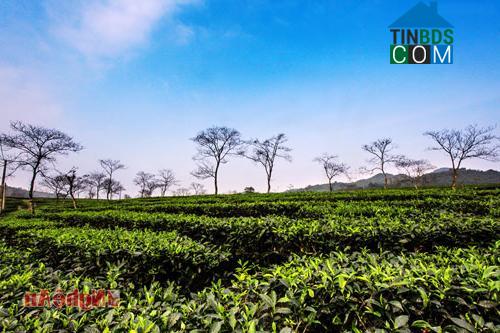 Hình ảnh Kim Bảng, Nghệ An