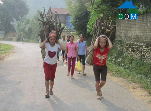 Hình ảnh Mường Ham, Nghệ An