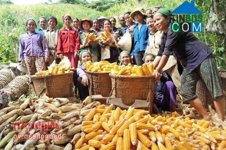 Hình ảnh Nga My, Nghệ An