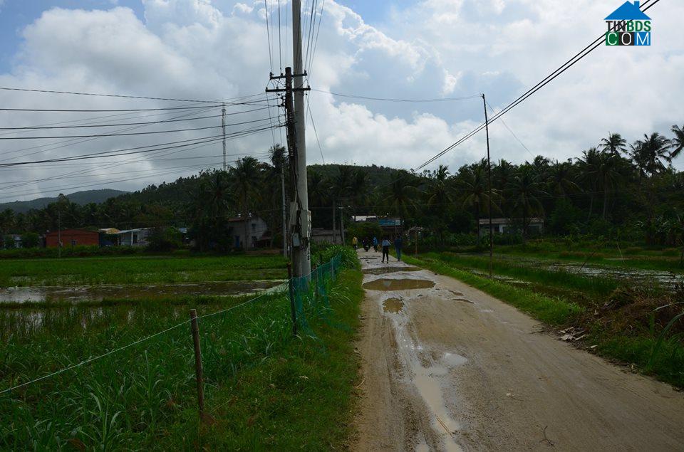 Hình ảnh Sa Huỳnh, Quảng Ngãi