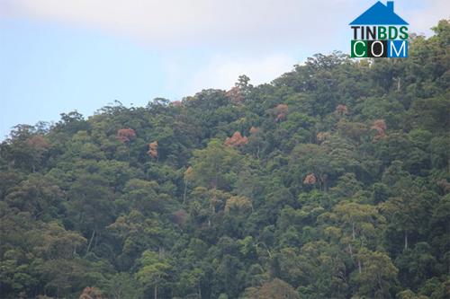 Hình ảnh Sơn Kỳ, Quảng Ngãi