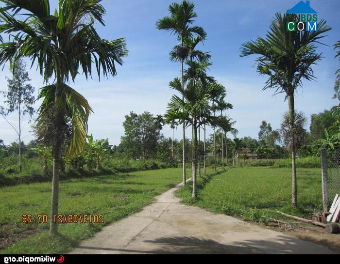 Hình ảnh Mộ Đức, Quảng Ngãi