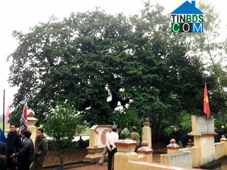 Hình ảnh Nghĩa Giang, Quảng Ngãi