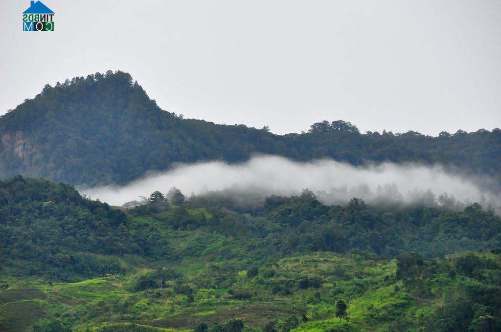 Hình ảnh Ngọc Linh, Quảng Ngãi