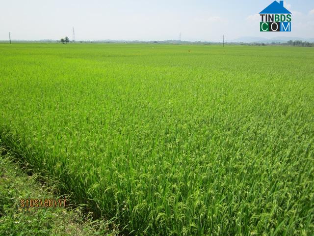 Hình ảnh Đông Mai, Quảng Ninh