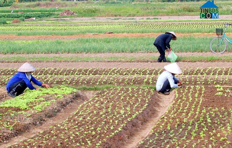 Hình ảnh Đông Triều, Quảng Ninh