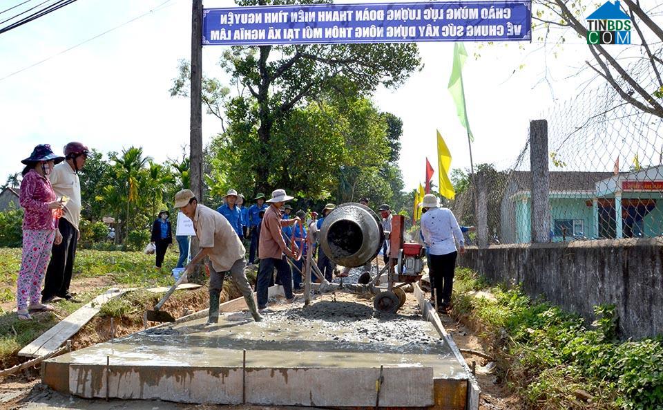 Hình ảnh Trà Giang, Quảng Ngãi