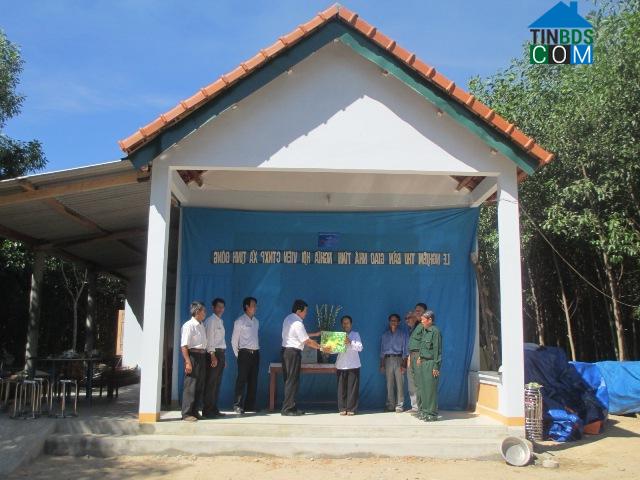 Hình ảnh Trường Giang, Quảng Ngãi