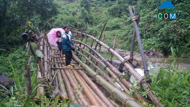 Hình ảnh Tây Trà, Quảng Ngãi