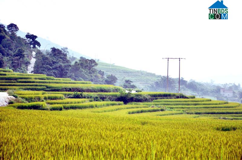 Hình ảnh Bình Liêu, Quảng Ninh