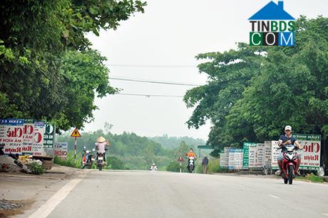 Hình ảnh Đường Hoa, Quảng Ninh