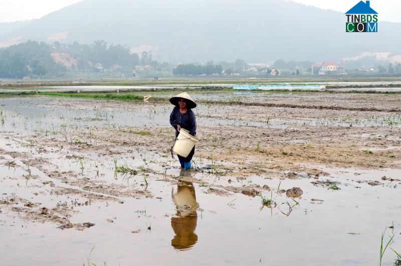 Hình ảnh Hiệp Hòa, Quảng Ninh
