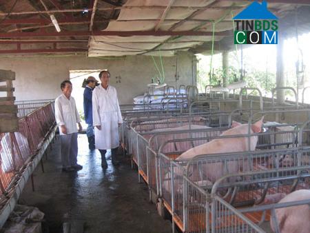 Hình ảnh Gio Linh, Quảng Trị