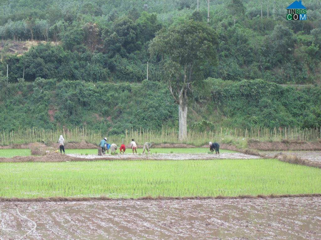 Hình ảnh Hướng Hiệp, Quảng Trị