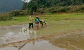 Hình ảnh Hướng Lập, Quảng Trị