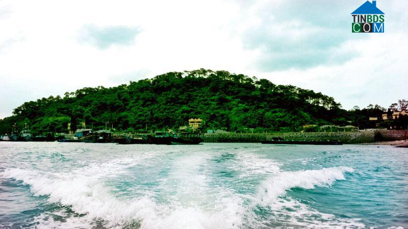 Hình ảnh Vĩnh Thực, Quảng Ninh