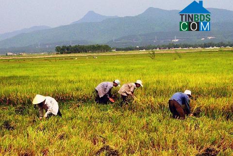 Hình ảnh Bắc Trạch, Quảng Trị