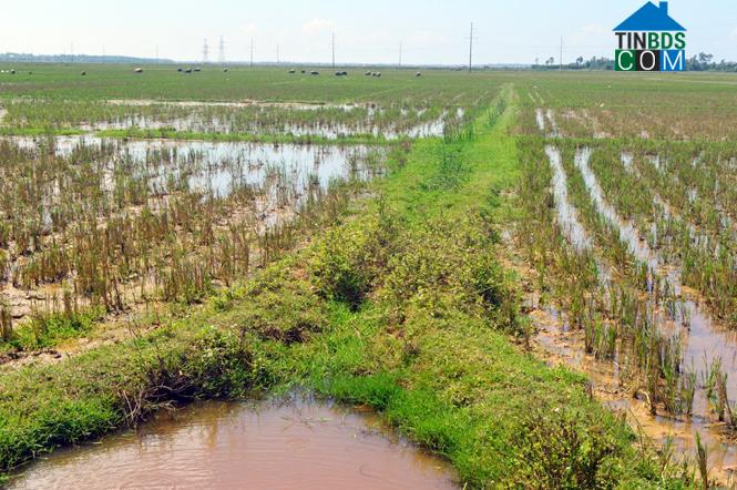 Hình ảnh Đông Trạch, Quảng Trị