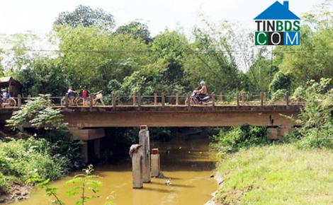 Hình ảnh Triệu Cơ, Quảng Trị