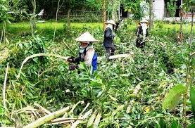 Hình ảnh Tuyên Bình, Quảng Trị