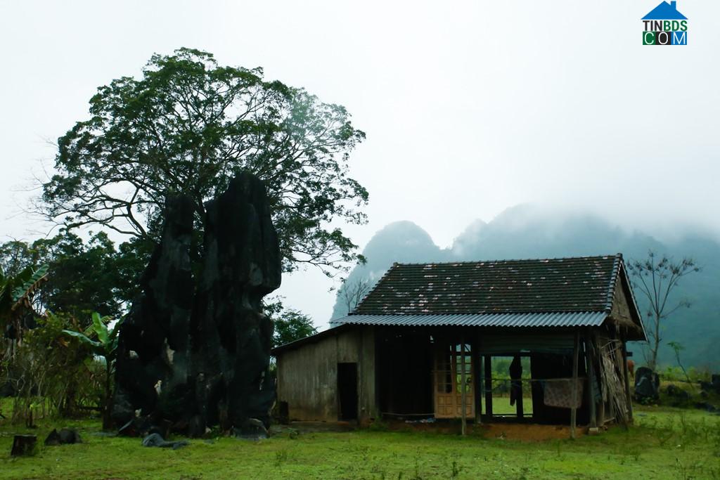 Hình ảnh Kim Phú, Quảng Trị