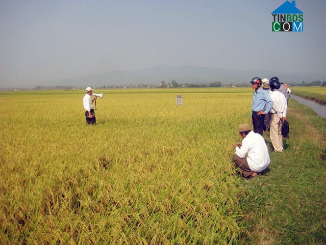 Hình ảnh Lệ Thủy, Quảng Trị