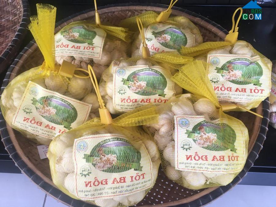 Hình ảnh Nam Gianh, Quảng Trị