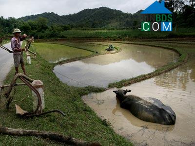 Hình ảnh Lóng Phiêng, Sơn La